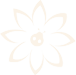 Blume mit einem Maikäfer der für Nachhaltigkeit steht